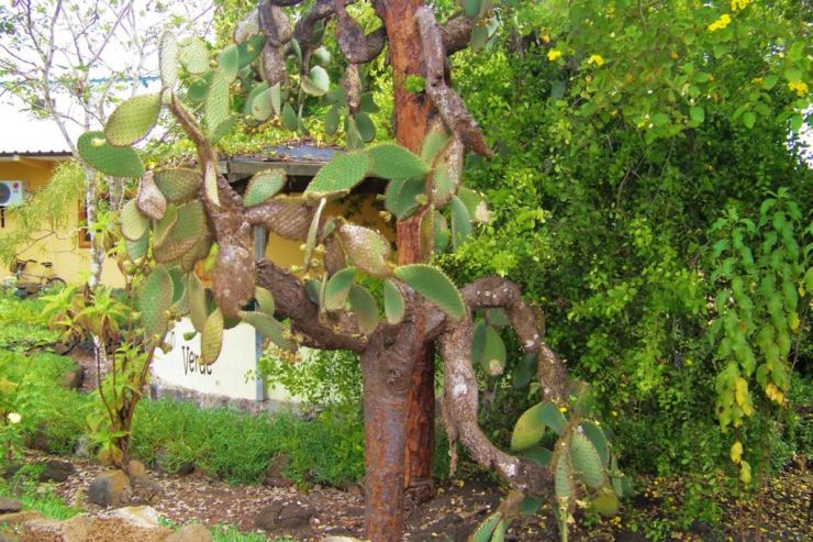 Charles Darwin Research Station (2)