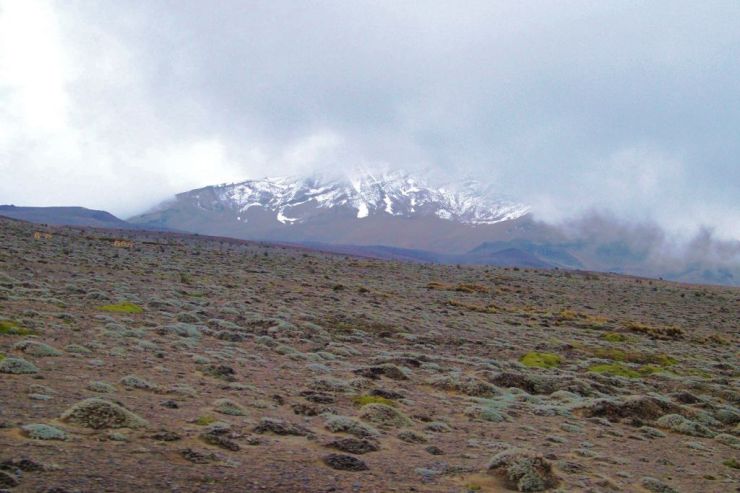 Chimborazo (3)