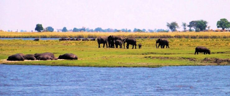 Chobe NP (30)