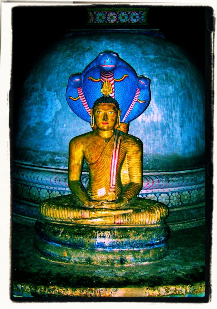 Dambulla (34)