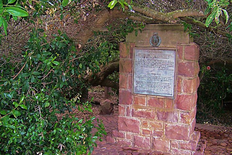 Diazmuseum 06 (postboom)