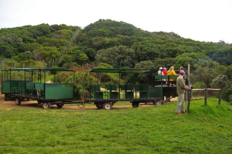 Featherbed Island 04