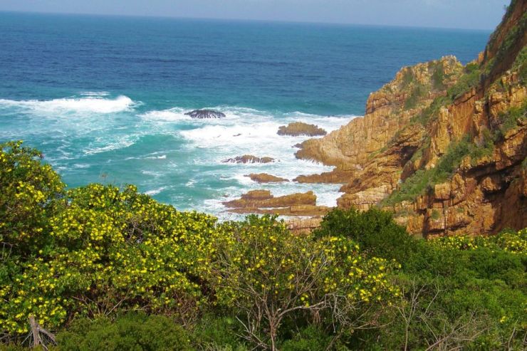 Featherbed Island 05