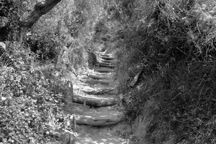 Featherbed Island 11