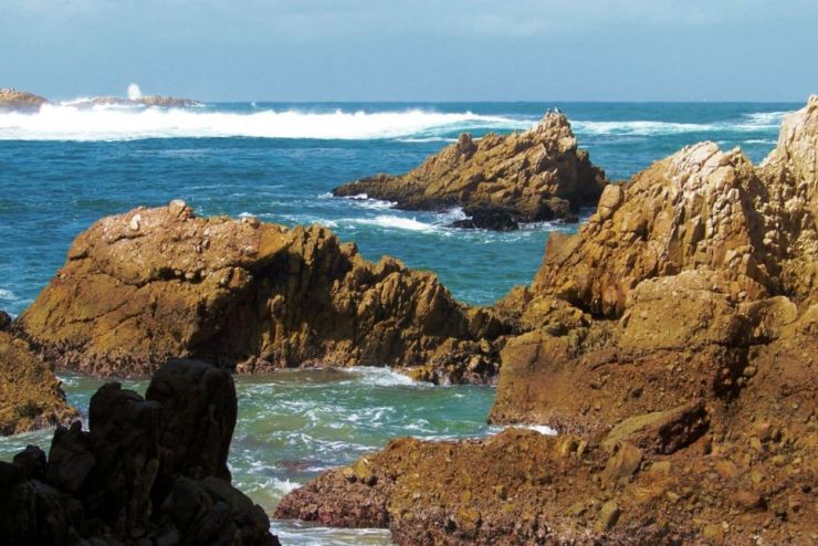 Featherbed Island 17