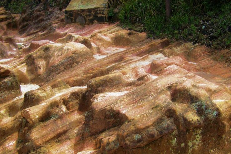 Horton Plains NP (14)