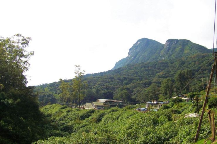 Horton Plains NP (20)