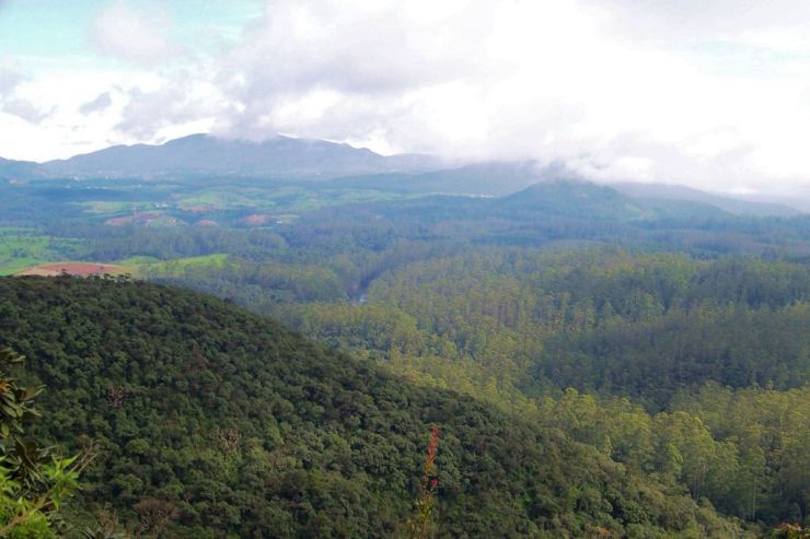 Horton Plains NP (4)