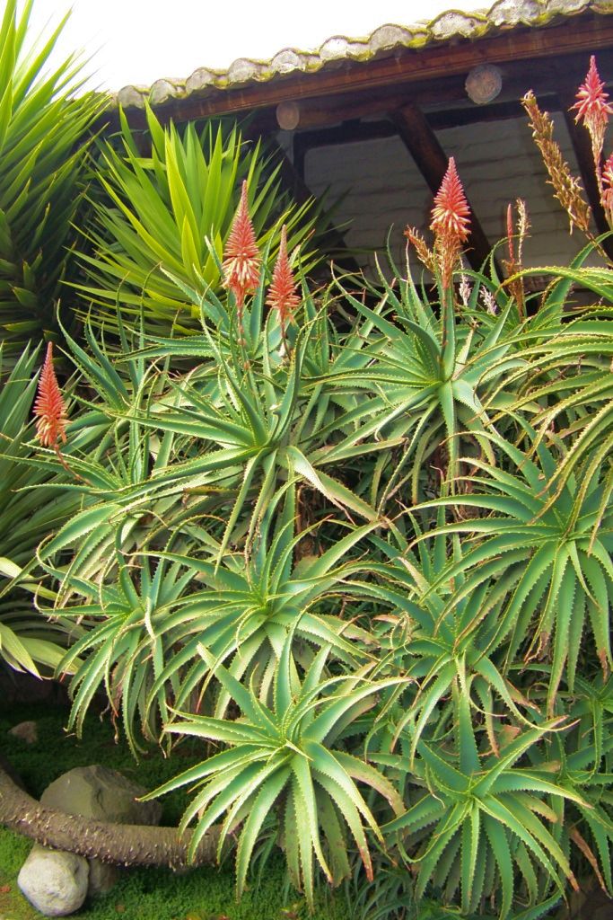 Hotel Abras Pungo (1)