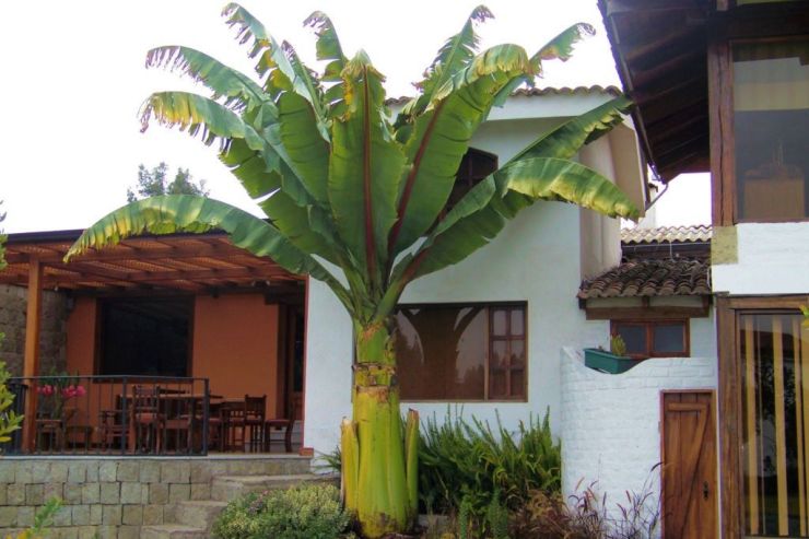 Hotel Abras Pungo (10)