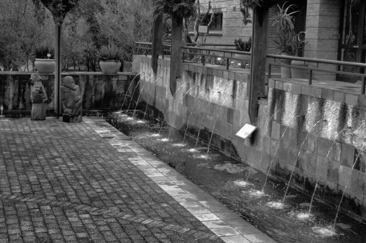 Kirstenbosch Garden (35)