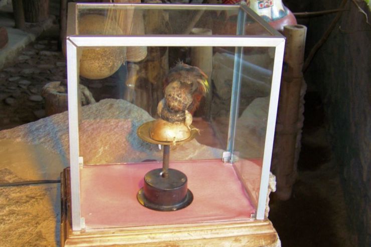 La Mitad del Mundo (4)