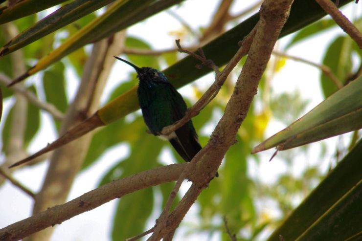 La Mitad del Mundo (5)