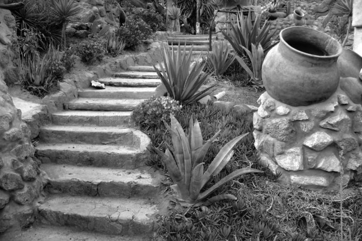 La Mitad del Mundo (8)
