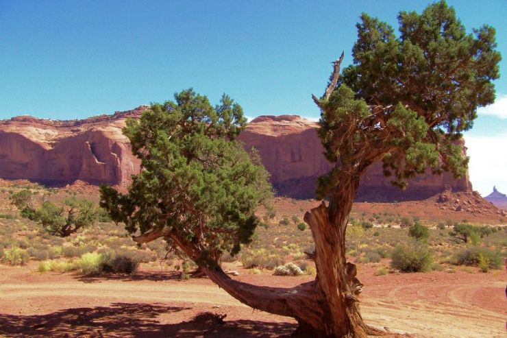 Monument Valley NR (49)