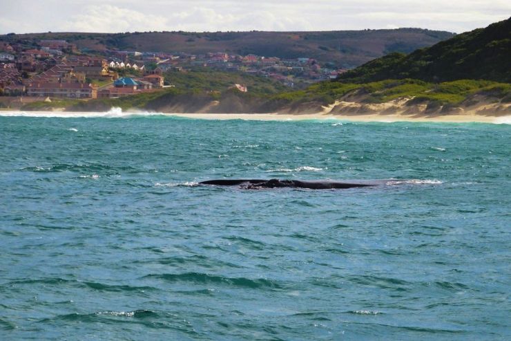 Mossel Bay (11)
