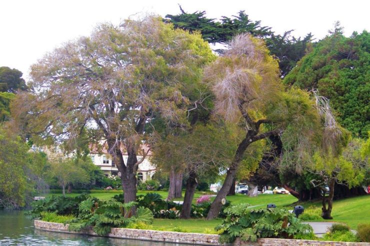 Palace of Fine Arts 08