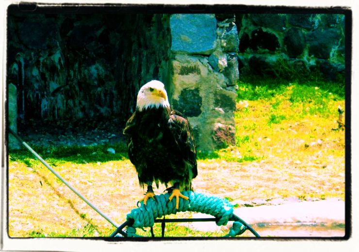 Parque Condor (9)