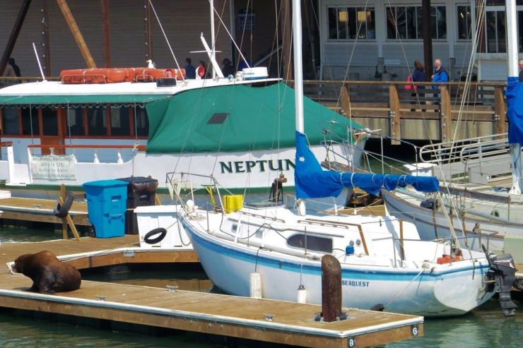 Pier 39 (10)