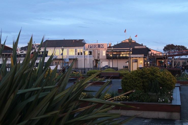Pier 39 (22)