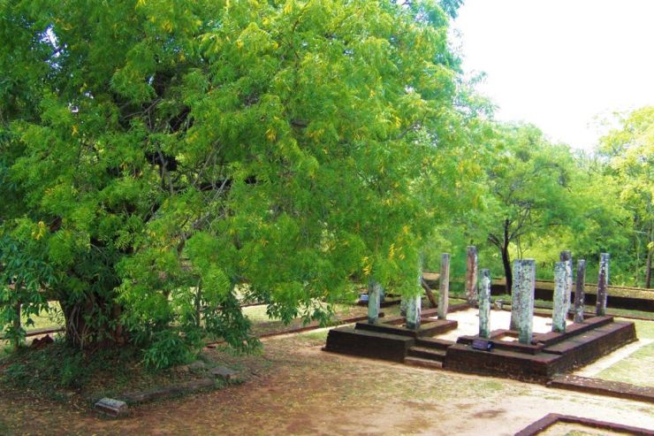 Polonnaruwa (8)