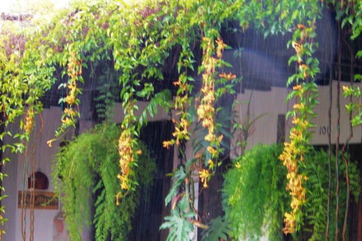 Posada de Don Rodrigo (2)