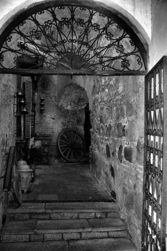 Posada de Don Rodrigo (5)