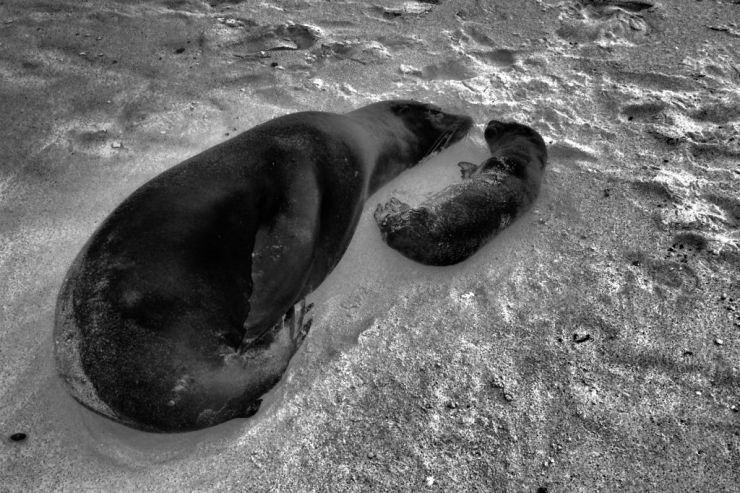 Post Office Bay (10)