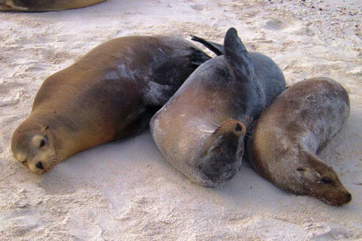 Post Office Bay (11)