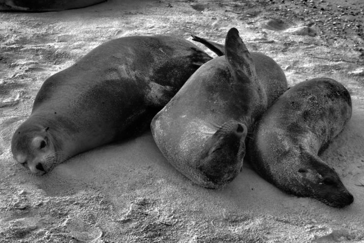 Post Office Bay (12)