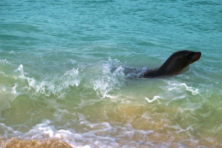 Post Office Bay (14)