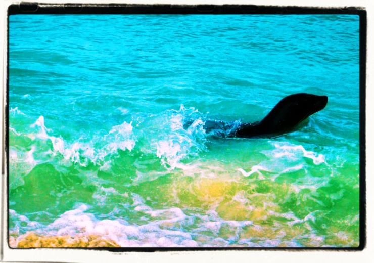 Post Office Bay (15)