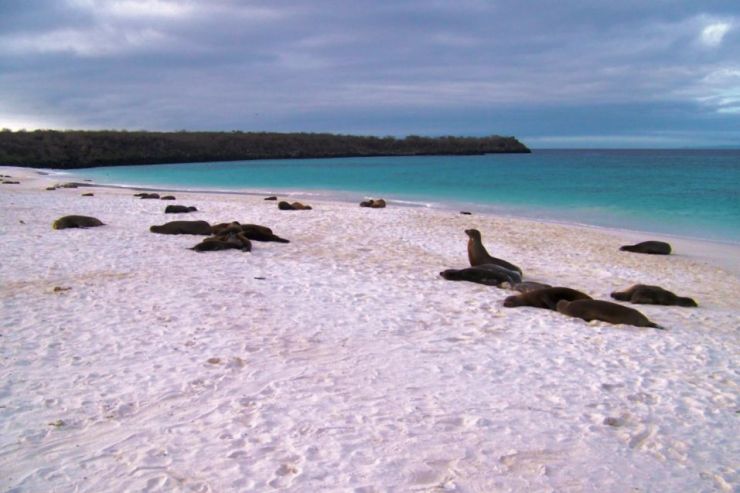 Post Office Bay (16)