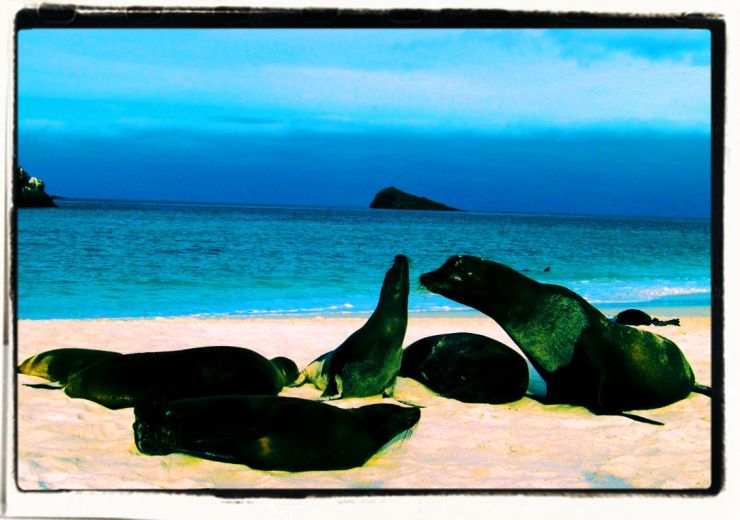 Post Office Bay (18)