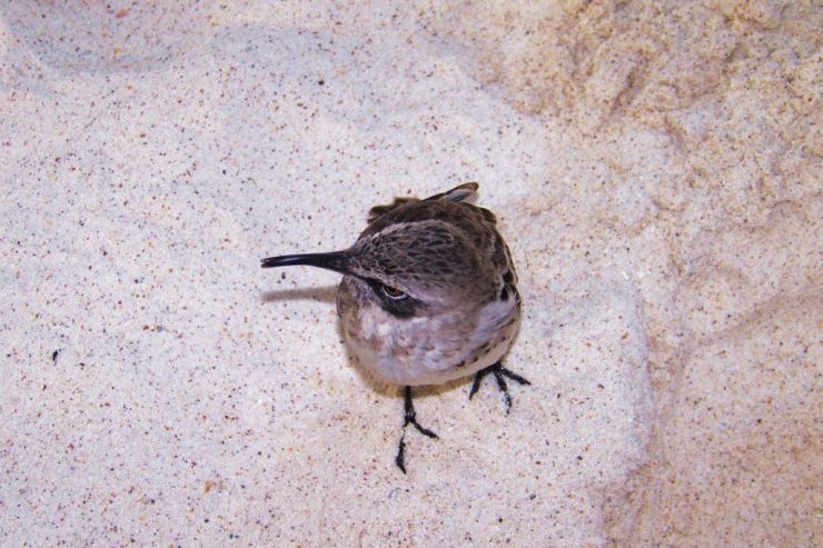 Post Office Bay (20)