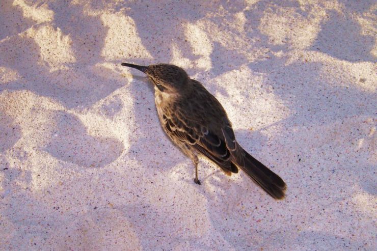 Post Office Bay (21)