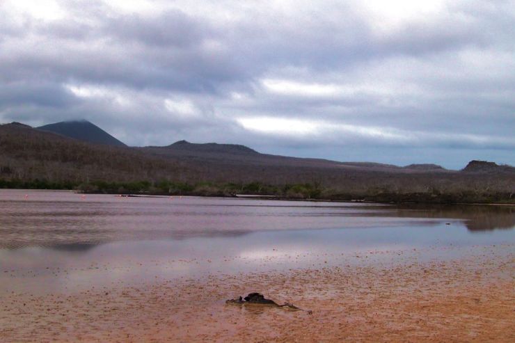 Post Office Bay (23)