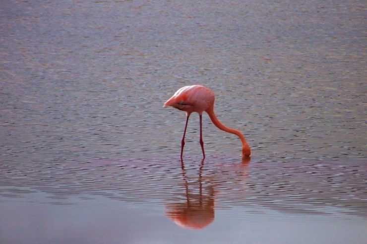 Post Office Bay (25)