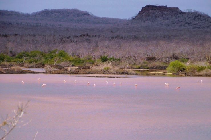 Post Office Bay (27)