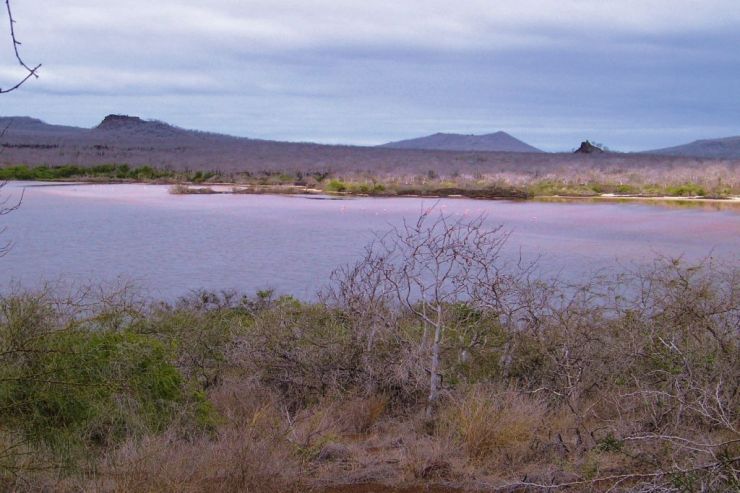 Post Office Bay (28)