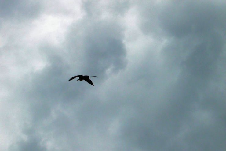 Post Office Bay (30)