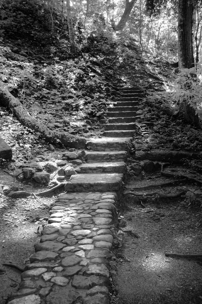 Ruinas de Copan (10)