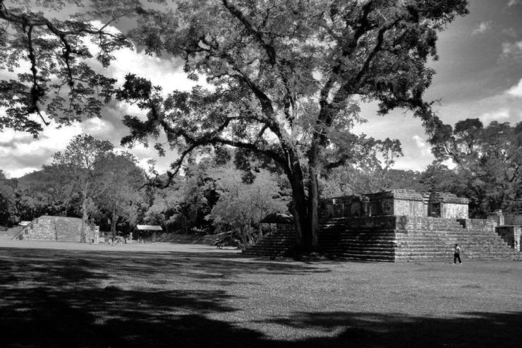 Ruinas de Copan (101)