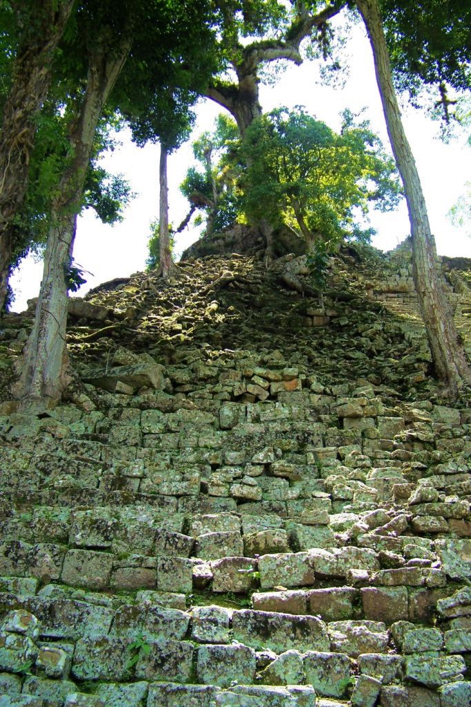 Ruinas de Copan (111)
