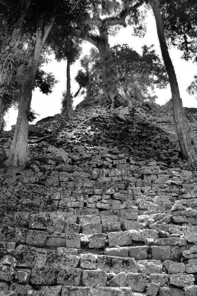 Ruinas de Copan (112)