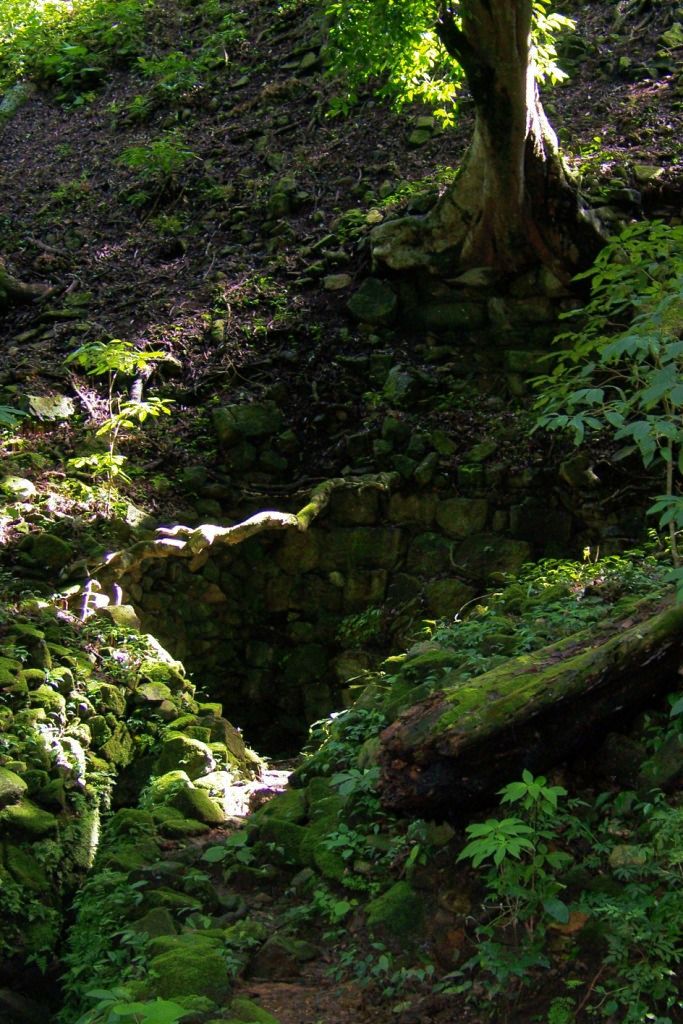 Ruinas de Copan (12)