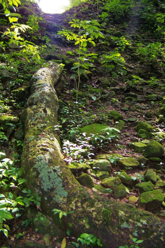 Ruinas de Copan (14)