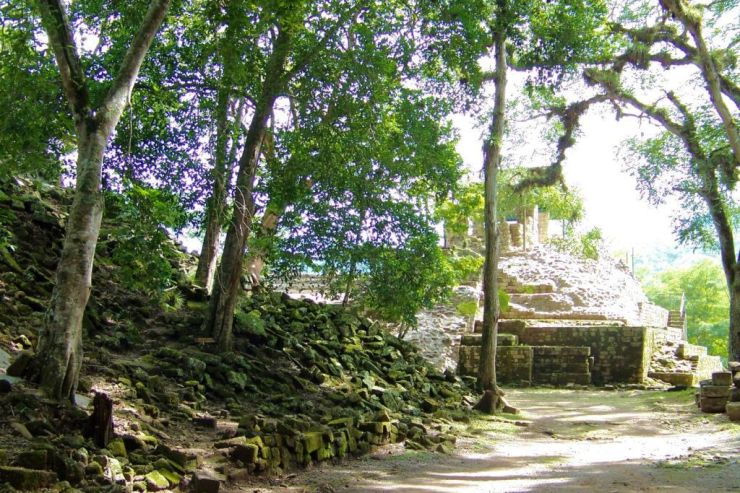 Ruinas de Copan (52)