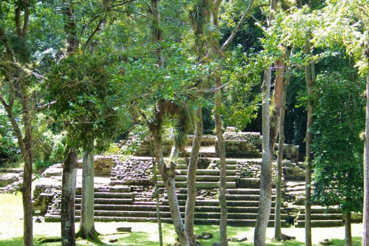 Ruinas de Copan (55)