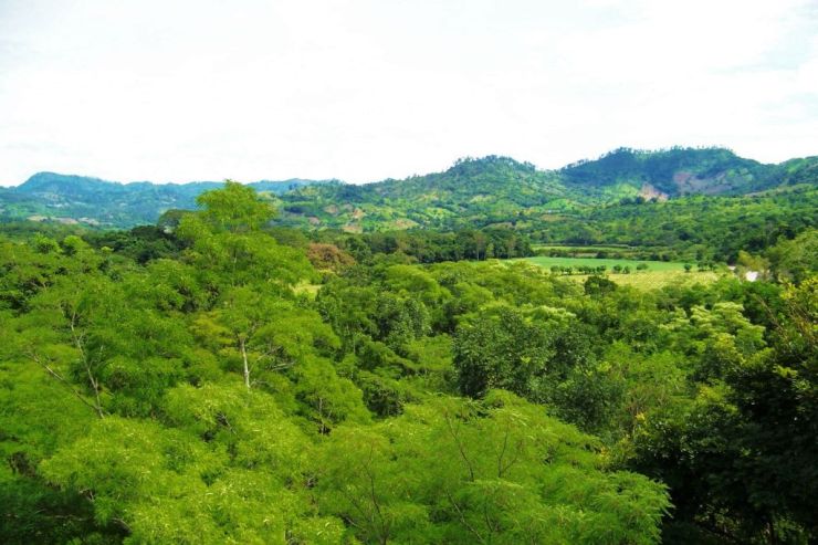 Ruinas de Copan (64)